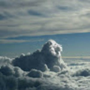 Meet your Posher, Evelyn